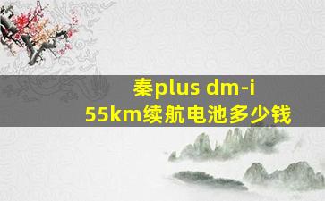 秦plus dm-i 55km续航电池多少钱